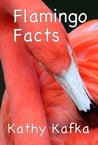 Flamingo Facts by Kathy Kafka children kids book read fact rhyme learning birds - Bild 1 von 2