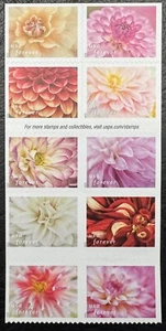2025 Scott #5992-6001, Forever DAHLIAS - MNH - Booklet Block of 10 Stamps - Picture 1 of 1