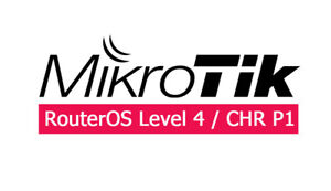 Mikrotik RouterOS license, Routerboard software L4/P1 
