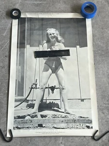 Vintage 1971 “The Impossible Dream” Poster Yippy Inc NYC Original - Picture 1 of 7