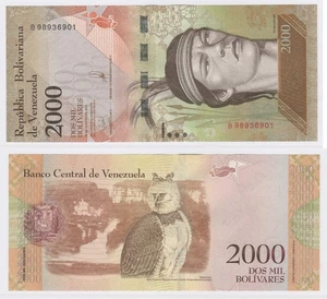 UNC Banknote VENEZUELA 2016 2000 Bolivares Guaicaipuro Harpy Eagle P96 LX168 - Imagen 1 de 1