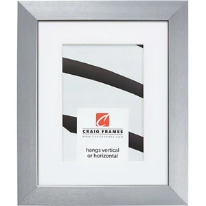 Craig Frames Modern Aesthetics 125, 1.25" Silver Picture Frame With a Mat - Picture 1 of 10