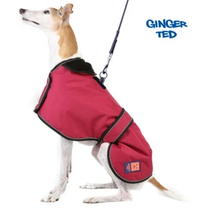 Ginger Ted Waterproof Greyhound Whippet Lurcher Harness Coat - warm, raincoat - Picture 1 of 9