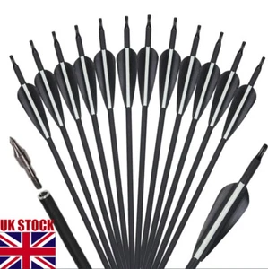 12X 30" Carbon Arrows Screw Tips Archery Recurve Compound Bow Hunting Shooting - Picture 1 of 11