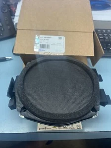 Genuine GM  19116641 Chevrolet Silverao GMC Sierra Front Side Door Radio SPEAKER - Picture 1 of 5