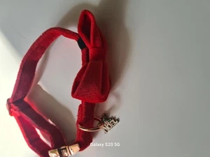 Pet Collar - Picture 1 of 3