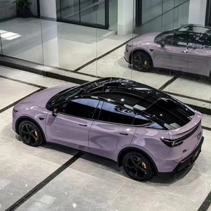 For Tesla Model Y 2025 PreCut Paint Protection Film  Change Lucia Purple PPF PVC - Bild 1 von 8
