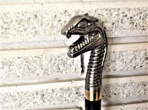 Cane Tyrannosaurus Rex King of the Dinosaurs Tyrant Lizard King Cosplay LARP - Picture 1 of 10