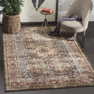 SAFAVIEH Bijar Collection BIJ652D Brown / Rust Rug