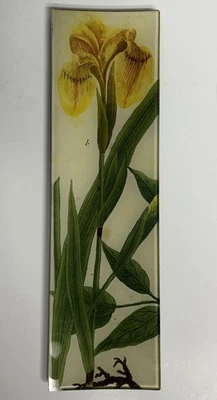 SIGNED John Derian Decoupage Pencil Tray Glass Yellow Iris 3.5” X 12” - Image 1 of 4