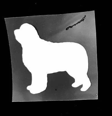 Newfoundland Dog Stickers Iron On Decals For Clothes T-Shirt DIY 50mm x 2 - Image 1 of 4