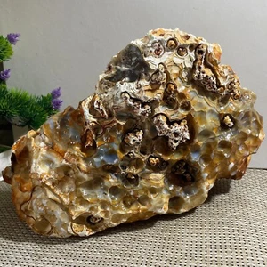 natural Bonsai Suiseki-Natural Gobi Agate Eyes Stone-Rare Stunning Viewing 5810g - Picture 1 of 18