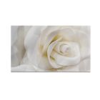 Glas-Herdabdeckplatte Weiße Rose 60x52 cm