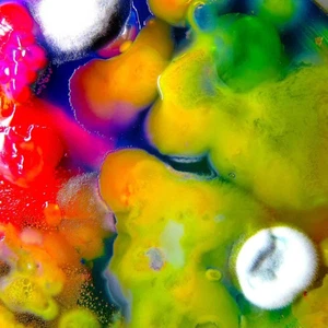 Guerilla Toss Famously Alive Cassette SPCS1480 NEW - Picture 1 of 1