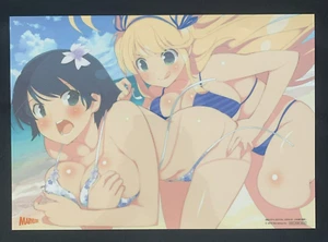 Senran Kagura Estival VersusKATSURAGI YOZAKURA Promo A4 Clear Poster Anime - Picture 1 of 7