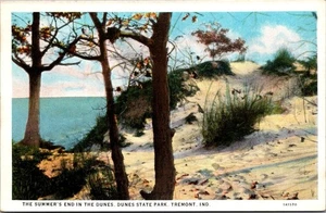 SUMMER'S END Dunes State Park TREMONT, Indiana IN Postcard - Picture 1 of 2