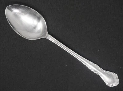 Queen's Court Stainless Japan Soup Spoon. 7 1/2" Long - Image 1 of 2