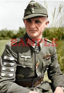 German WW 2 Sergeant Major Panzergrenadiere Colorized Photo 8 X 10 Reproduktion - Bild 1 von 1