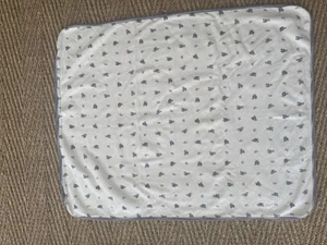 Ralph Lauren Baby Blanket  - Picture 1 of 5