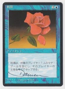 Signed Japanese Mana Short Proof LP FBB Artist Dameon Willich 1996 MTG Magic AP! - Picture 1 of 2