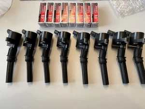 Ignition Coil DG508X8 & Motorcraft Spark Plug SP479 SP479-X - Picture 1 of 6