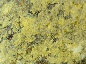 METASCODERITA de Nevada, EE. UU. * TIPO LOCALIDAD ESPÉCIMEN * 4,0 cm - Imagen 1 de 4