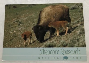 Theodore Roosevelt National Park N.D. Postcard (N2) - Picture 1 of 2