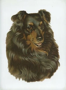 Kitschbild Decoupis Von Große Größe. Tête De Hund. Helena Maguire Nicht Signiert - Picture 1 of 2