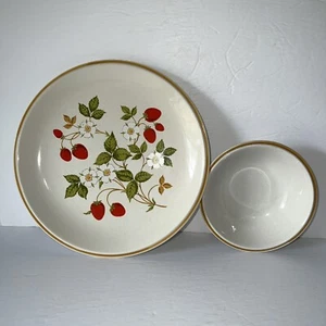 VTG Sheffield Strawberries 'n Cream Stoneware Japan 10.5" Plate & 6" Soup Bowl - Picture 1 of 10