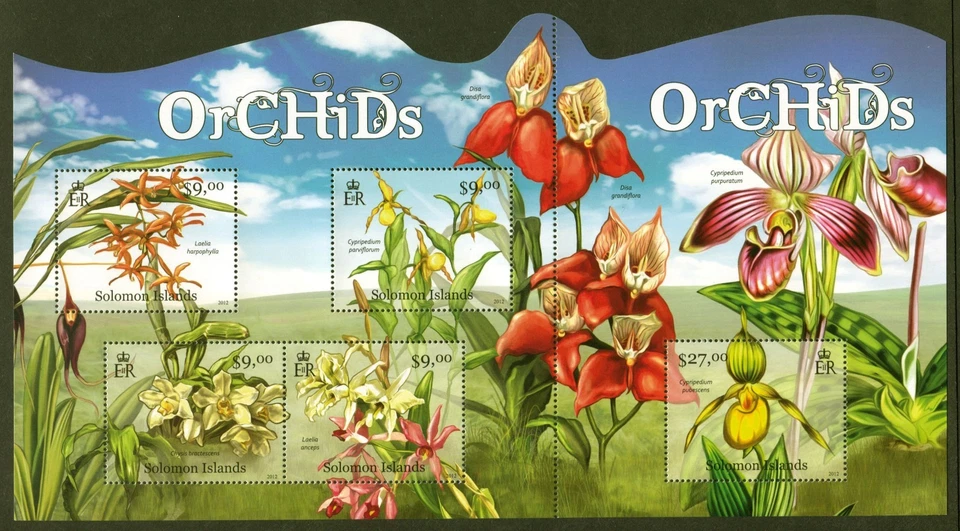 所罗门群岛 Sc# 1188,花卉 - 兰花,VF/XF 全新 5 张,SCV:18.10 美元 — 第 1/1 张图片