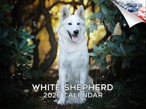 White Shepherd Calendar 2026 12x18 Made in USA - Picture 1 of 7