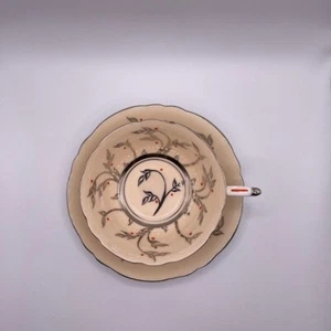 Vintage paragon hand painted tea cup and saucer - Picture 1 of 6