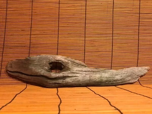 Schönes 16" TREIBHOLZ Stück Terrarium Taxidermie Aquarium Strand Holz DEKOR Kunst - Bild 1 von 12