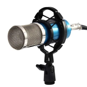 Universal Professional Condenser Microphone Mic Shock Mount Holder Bracket - Picture 1 of 8