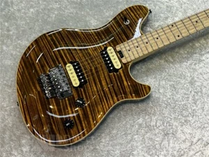 PEAVEY HP2 (tiger eye) w/hard case USED - Picture 1 of 9