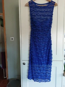Amy Childs Ladies Dress Royal Blue Bodycon Lace & Fringe Lined Bodice. 10 - Picture 1 of 12