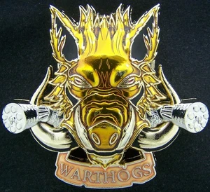 A-10 Warthogs Maxwell AFB Class 18-03 Challenge Coin - Picture 1 of 2