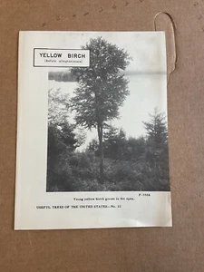 USA DEPT OF AGRICULTURE USEFUL TREES YELLOW BIRCH Information Brochure B10 - Imagen 1 de 3