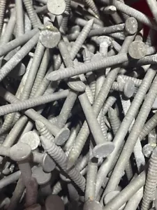 Nägel Polebarn Nagel 4 Zoll X 20D feuerverzinkt (6 Pfund) - Bild 1 von 8