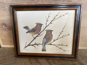 Stampa artistica incorniciata Sherm Pehrson vintage Songbird Nut Hatch 1978 *senza vetro - Foto 1 di 9