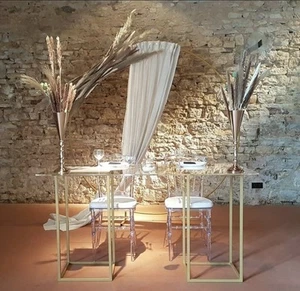 Hochzeit Backdrop mit transparent Acryl-Stühle und Plexi-Tisch Pampas - Bild 1 von 1