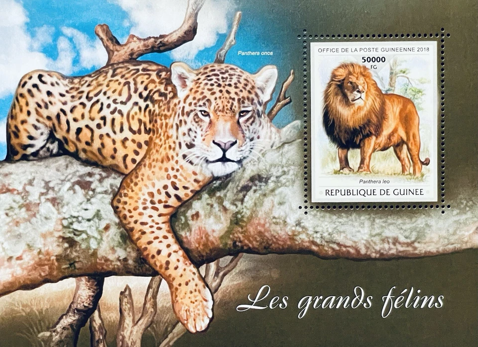 SELLOS DE GATOS SALVAJES DE GUINEA S/S MNH 2018 LEÓN JAGUAR ANIMALES SALVAJES FAUNA DE VIDA SILVESTRE 1 Foto 1 de 1