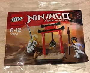 FIGURINE LEGO MINIFIGURE POLYBAG NINJAGO 30530 LLOYD ET NYA WU-CRU TARGET - Imagen 1 de 1