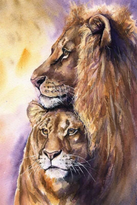 Дикое животное лев семья теплый любовь тема картина настенное искусство дома - плакат 20 x 30 - Изображение 1 из 3
