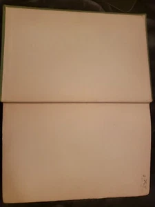 The Green Bay Tree by Louis Bromfield Published by Grosset Dunlap 1927 Hardcover - Picture 1 of 6