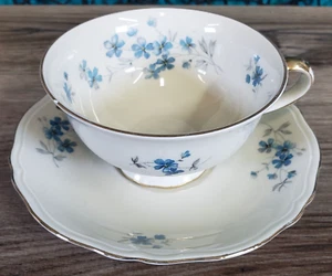 ZEH Scherzer Bavaria DEUTSCHLAND BLAU BLUMENDRUCK GOLDRAND TASSE & UNTERTASSE LESEN CHIP - Bild 1 von 15