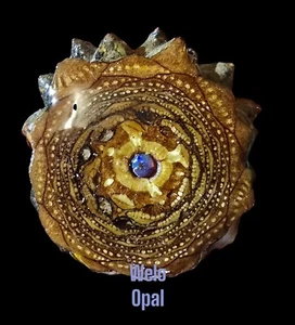 Colgante perilla con ópalo de fuego Welo - Imagen 1 de 3