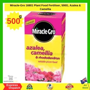 Miracle-Gro 16801 Plant Food Fertiliser, 500G, Azalea & Camellia | FREE SHIPPING - Picture 1 of 3