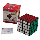 Nouveau puzzle cube magique ultra lisse ShengShou 5x5 vitesse torsion 5x5 noir