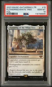 Blüte der weißen Baumuniversen darüber hinaus: Der Herr der Ringe: Geschichten von... - Bild 1 von 2